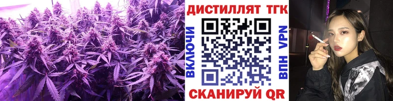 Купить где Певек Дистиллят ТГК THC oil