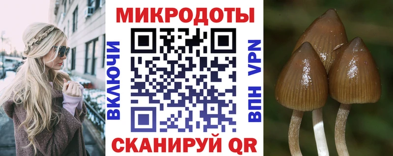 Купить где Певек Галлюциногенные грибы мицелий